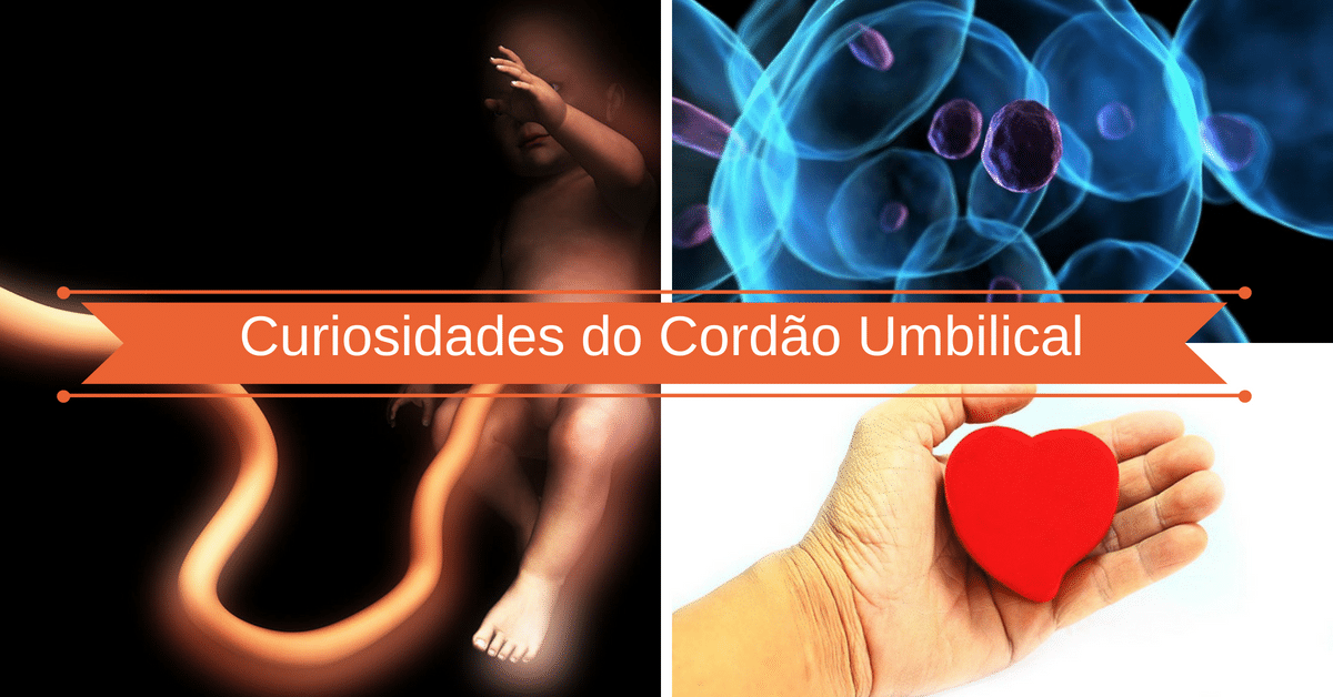 Cordão Umbilical: 6 Coisas que Você não Sabia